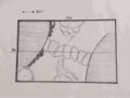 Plan de jardin dessiné à la main avec dimensions et orientation est